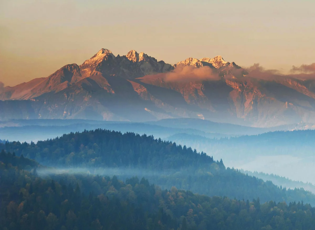 PrestaShop usługi dla biznesu: Skuteczne rozwiązania e-commerce połączone z profesjonalnym wsparciem