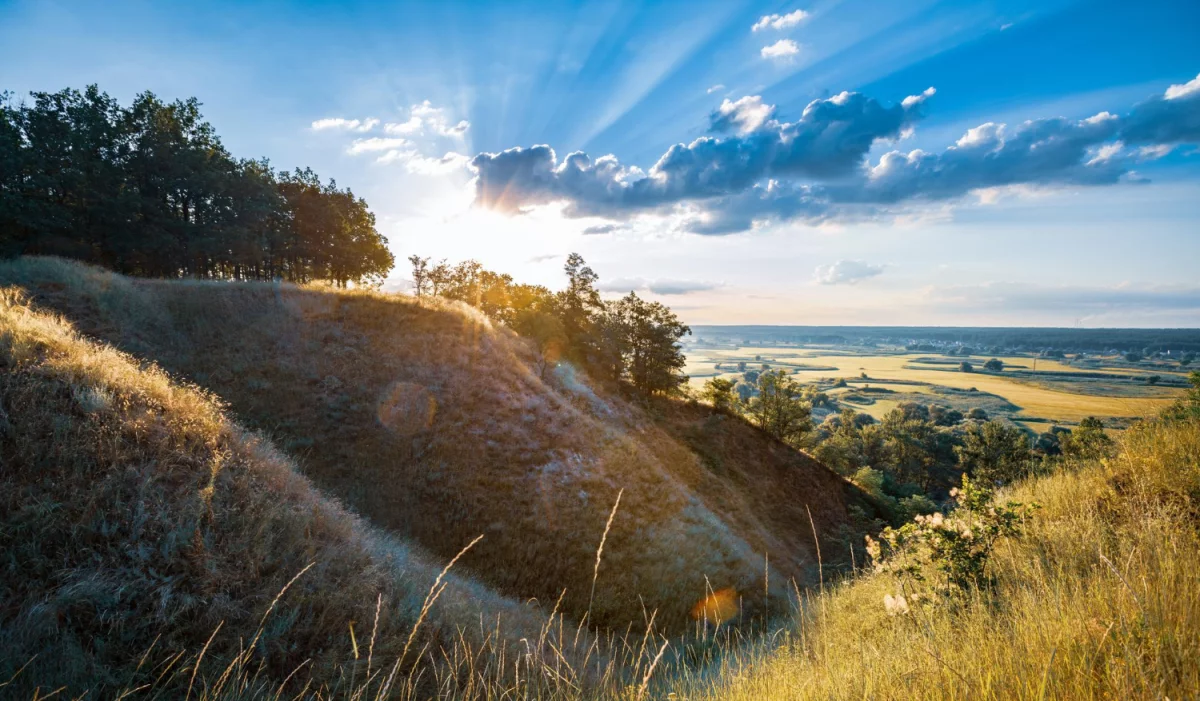 Praca marzeń dla programisty PrestaShop - rola eksperta w tworzeniu sklepów internetowych