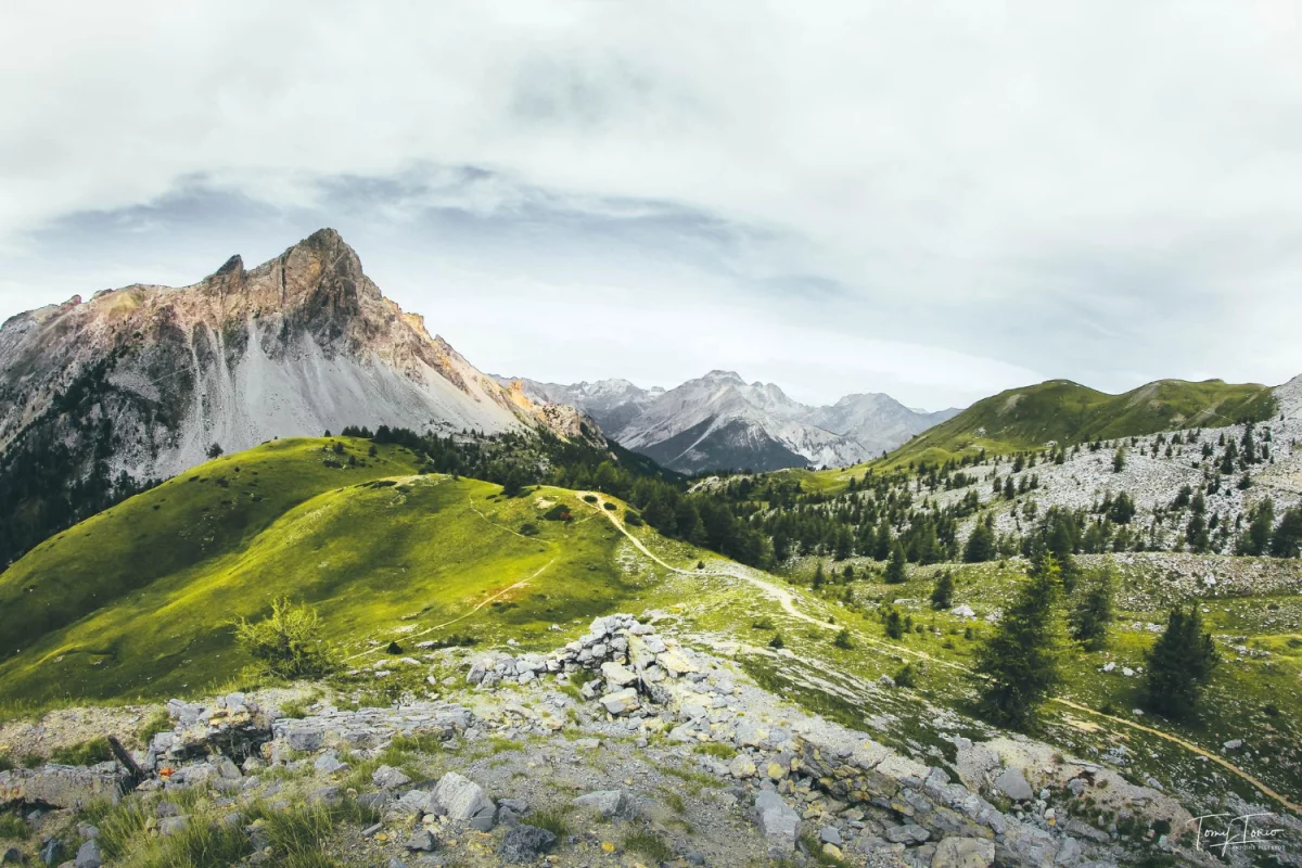 Pomysły na wyposażenie domu: Jak stworzyć przytulną i funkcjonalną przestrzeń