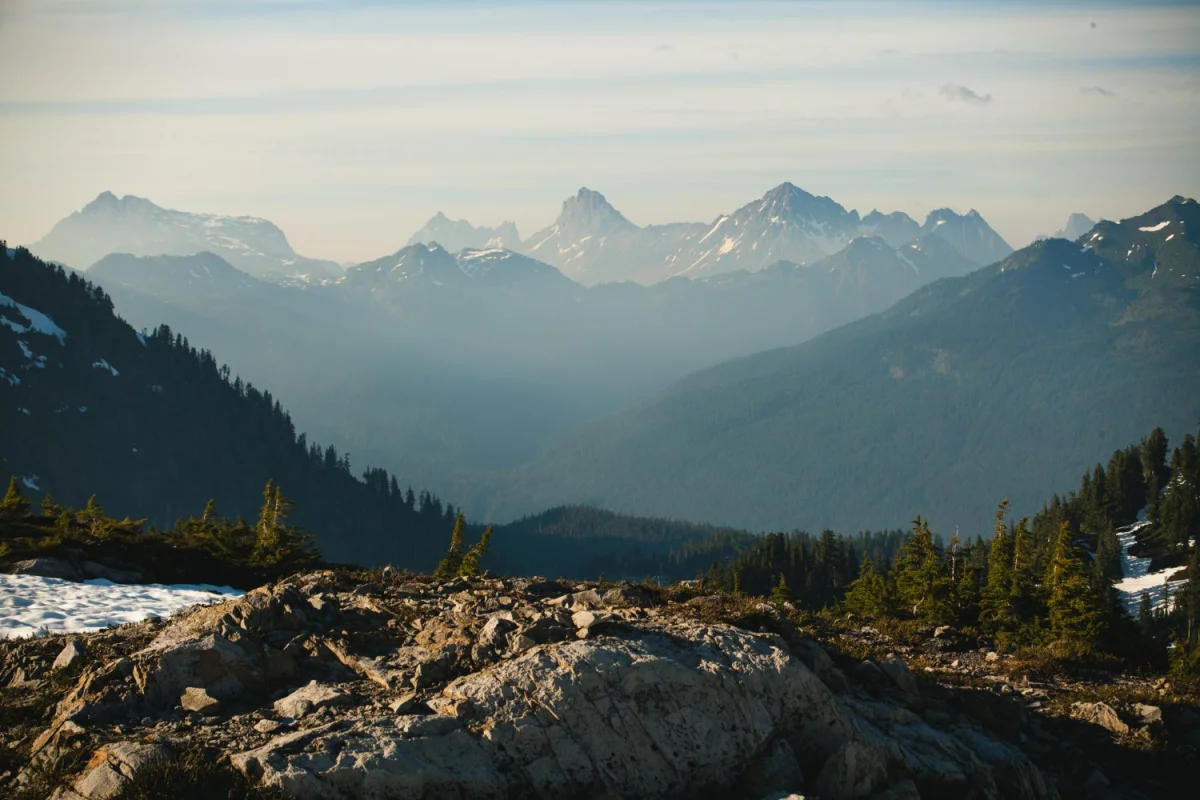 Jak skutecznie wykorzystać Link building do poprawy pozycji strony w wyszukiwarkach