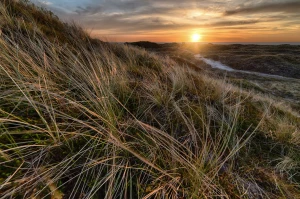 Pozycjonowanie stron - jak osiągnąć wysoką pozycję w wynikach wyszukiwania?